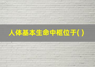 人体基本生命中枢位于( )